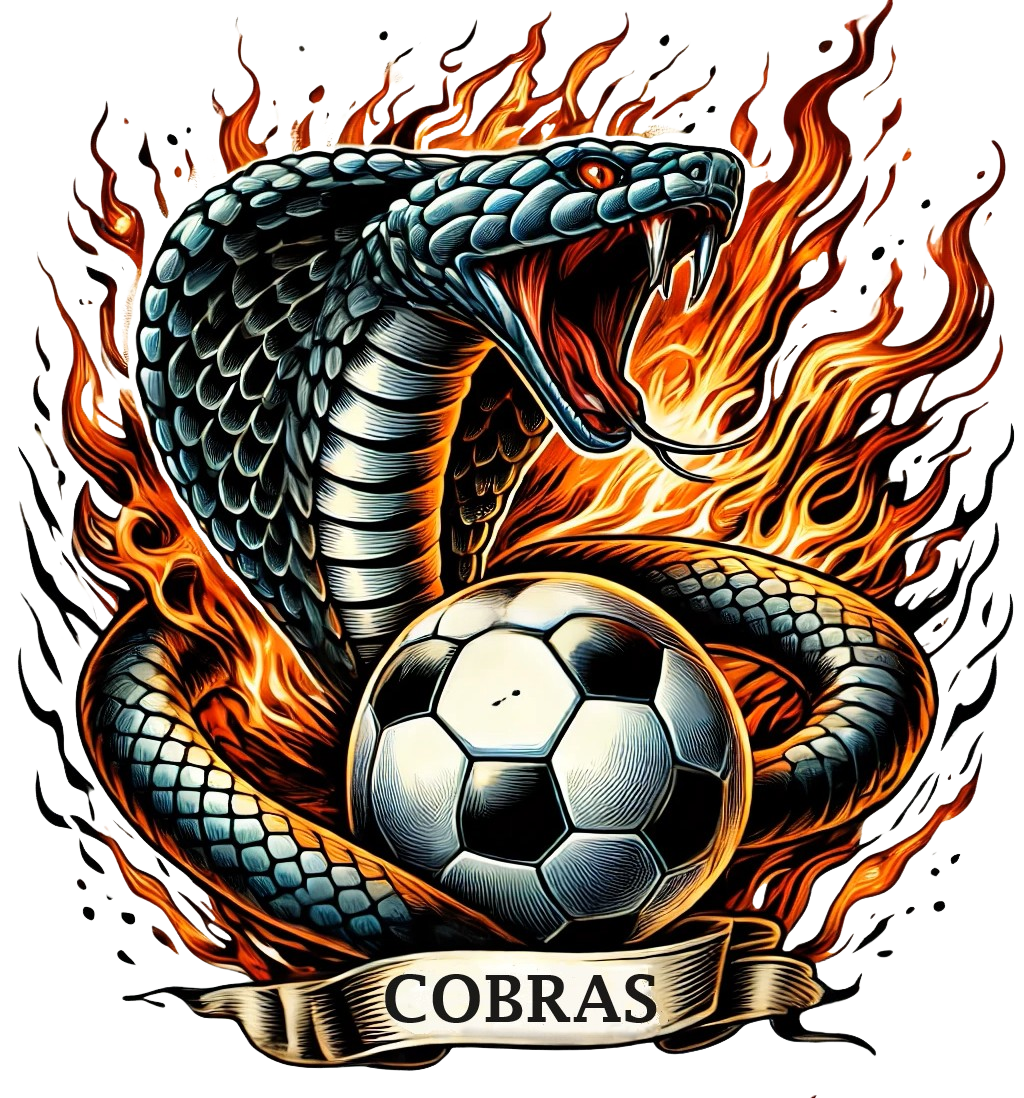 Custom Cobra Round magnets